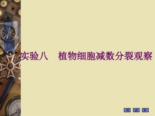 植物细胞减数分裂观察资料