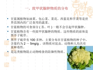 植物类食物中的天然毒素和生理活性成分