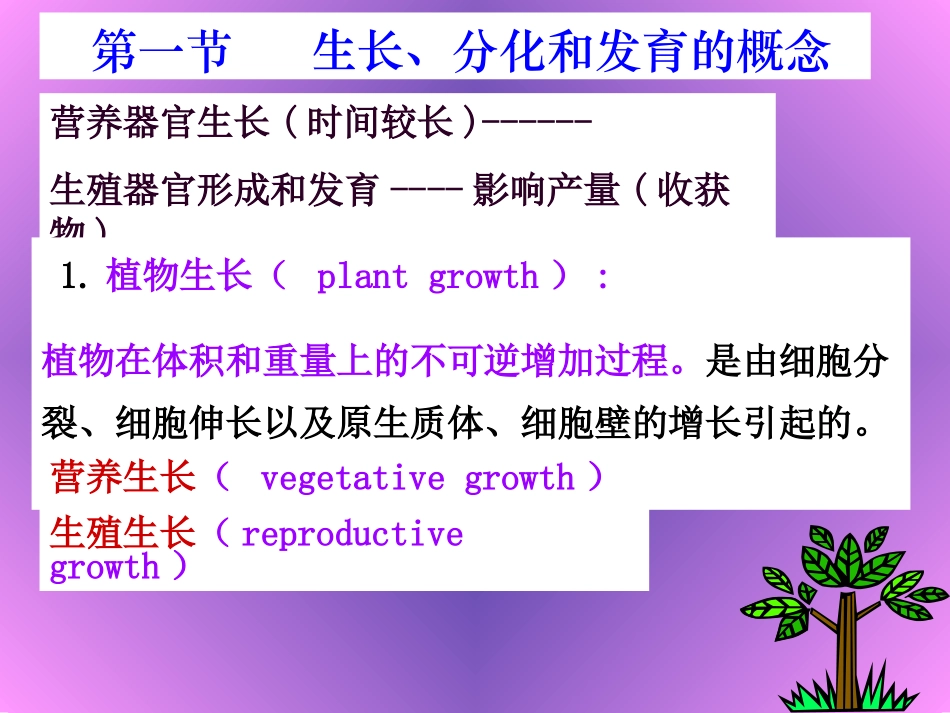 植物的生长生理_第3页