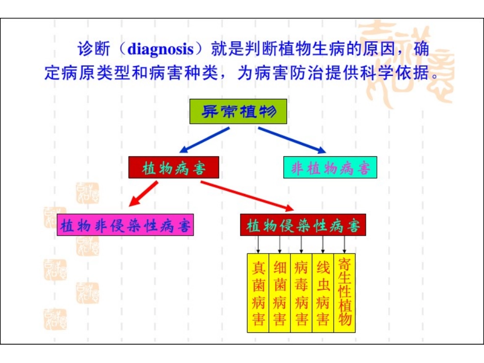 植物病原物的分类及鉴定_第1页