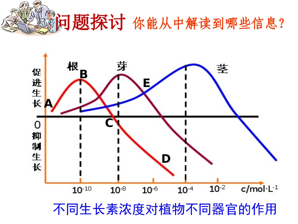 植物生长素的生理作用_第1页