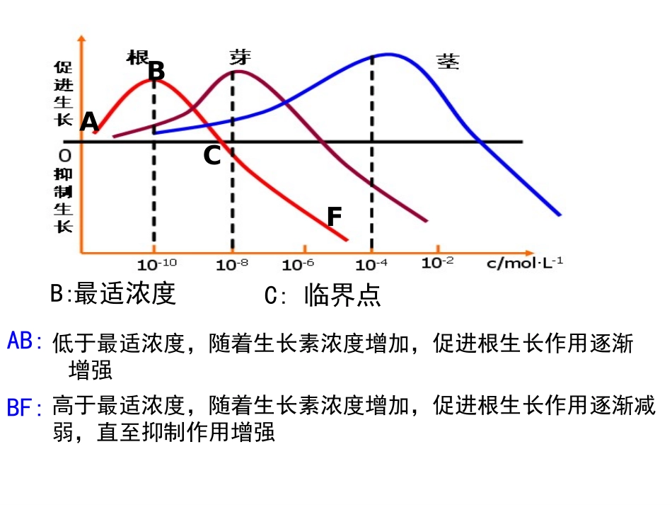 植物生长素的生理作用_第2页