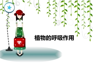 植物的呼吸作用2(有氧呼吸和无氧呼吸)概况