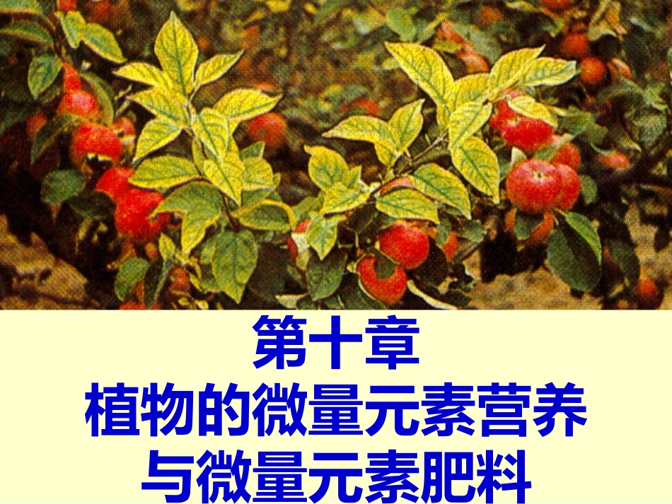 植物的微量元素营养与微量元素肥料_第1页