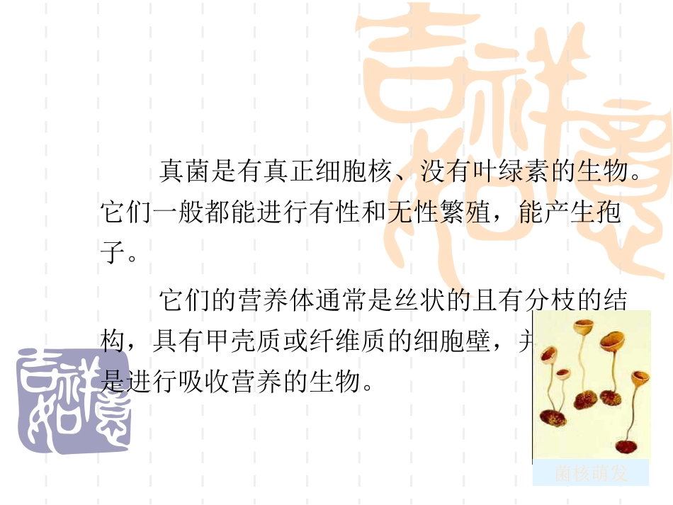 植物病害的病原物资料_第3页