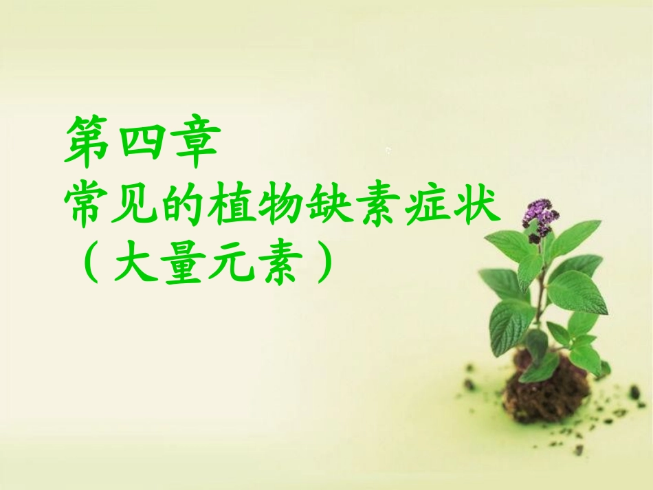 植物大量元素缺素症状_第1页
