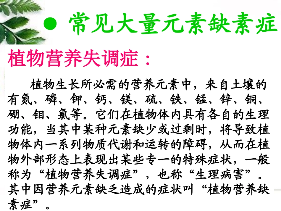 植物大量元素缺素症状_第3页