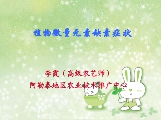 植物微量元素缺素症状