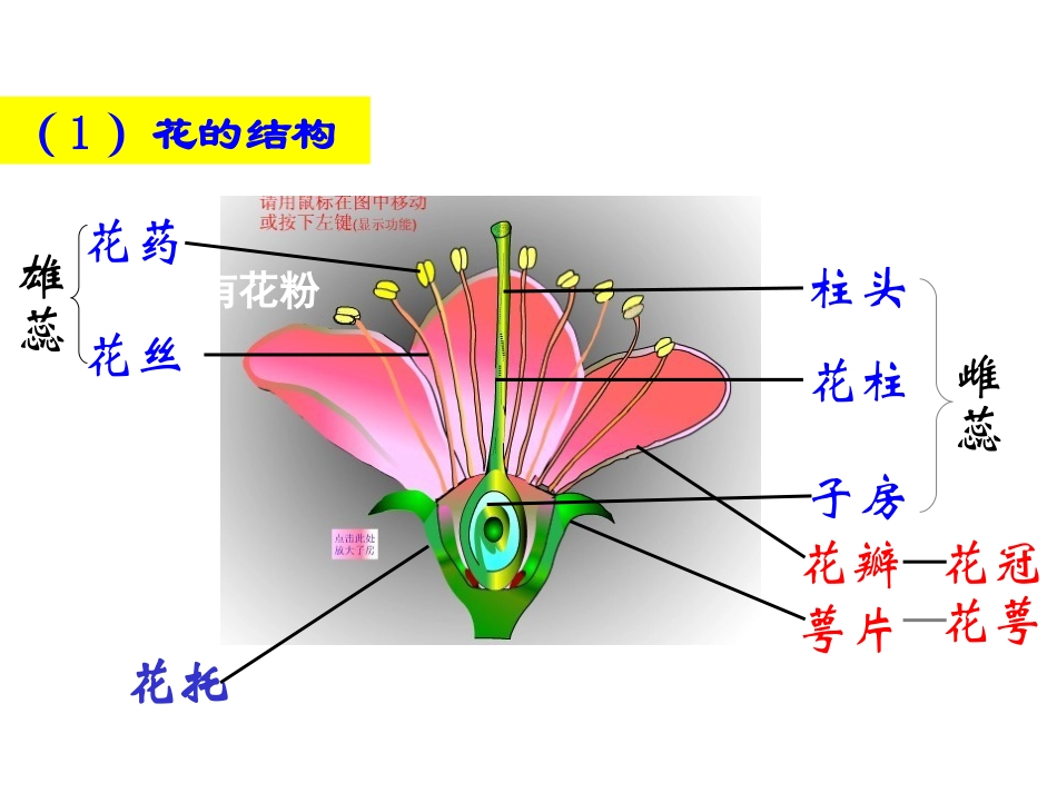 植物、动物和人体的生殖发育剖析_第2页