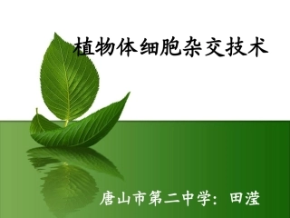 植物体细胞杂交(完整)