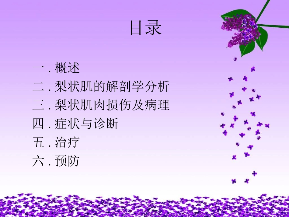 梨状肌损伤综合征ppt_第2页