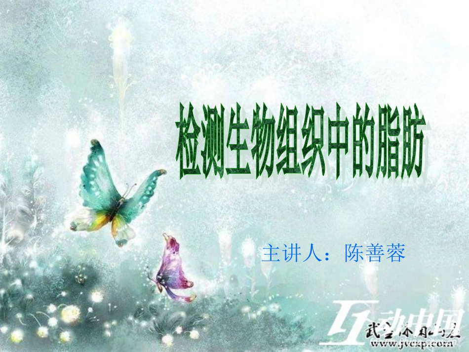 检测生物组织中的脂肪_第1页