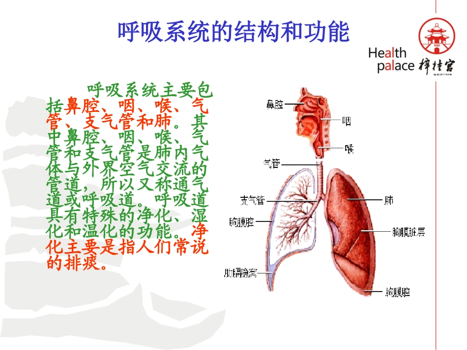 梓宫上呼吸道感染及合理用药._第3页