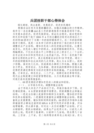 兵团挂职干部心得体会