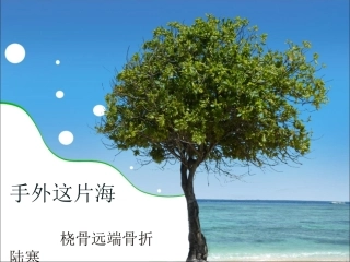 桡骨远端骨折概论