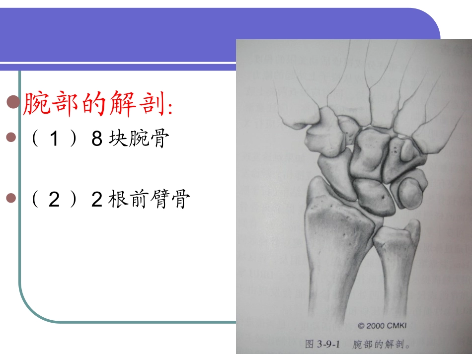 桡骨远端骨折(ppt)分析_第3页