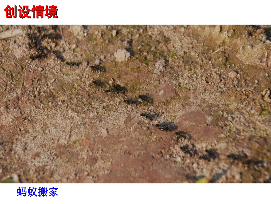 类比推理11111111_第3页