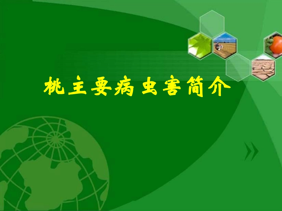 桃主要病虫害_第1页