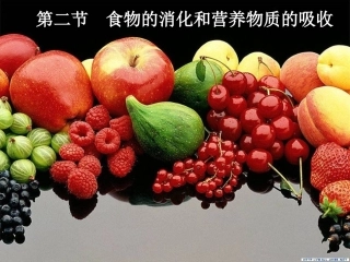 食物的消化和营养物质的吸收