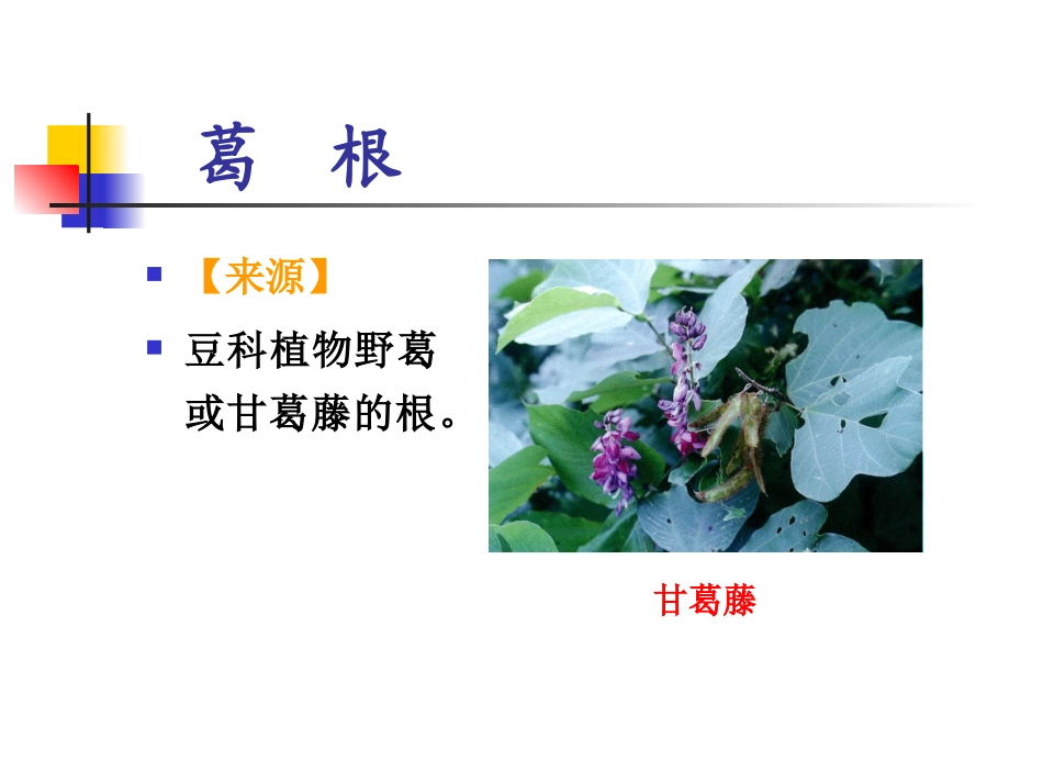 根及根茎类中药4_第1页