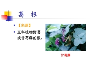 根及根茎类中药4