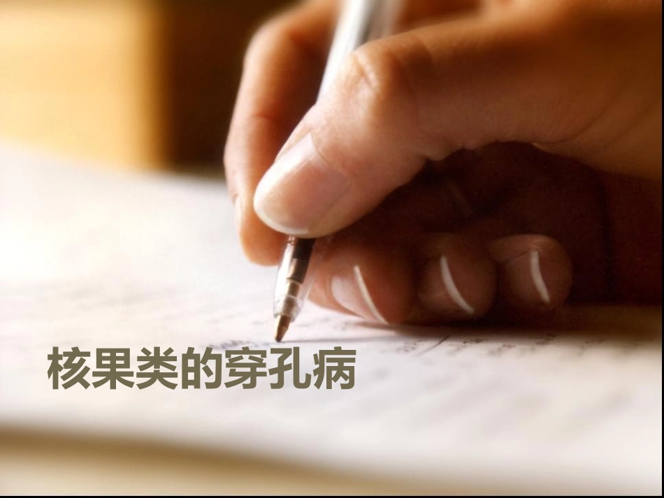 核果类的穿孔病_第1页