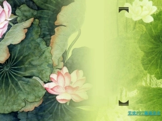 荷塘春绿-植物 (2)