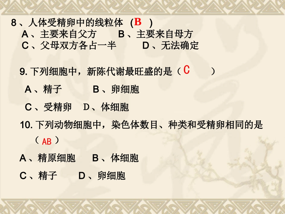 染色体数目变化以及判断各时期细胞概述_第3页