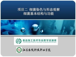 染色与细菌细胞形态-细菌基本结构与功能.