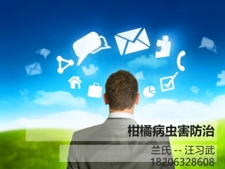 柑橘病虫害防治