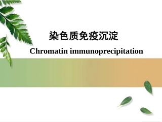 染色质免疫沉淀