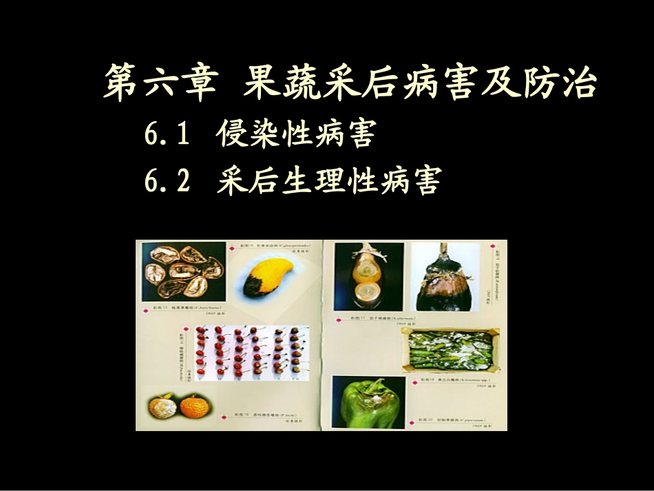 果蔬采后病害及防治.._第1页