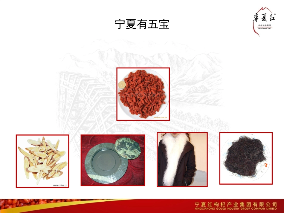 枸杞文化0521_第2页