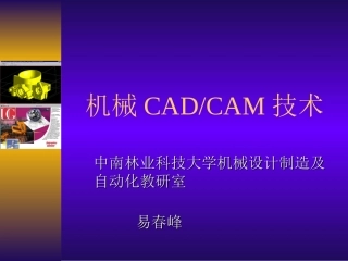 机械CAD-CAM技术第二讲-设计数据处理技术
