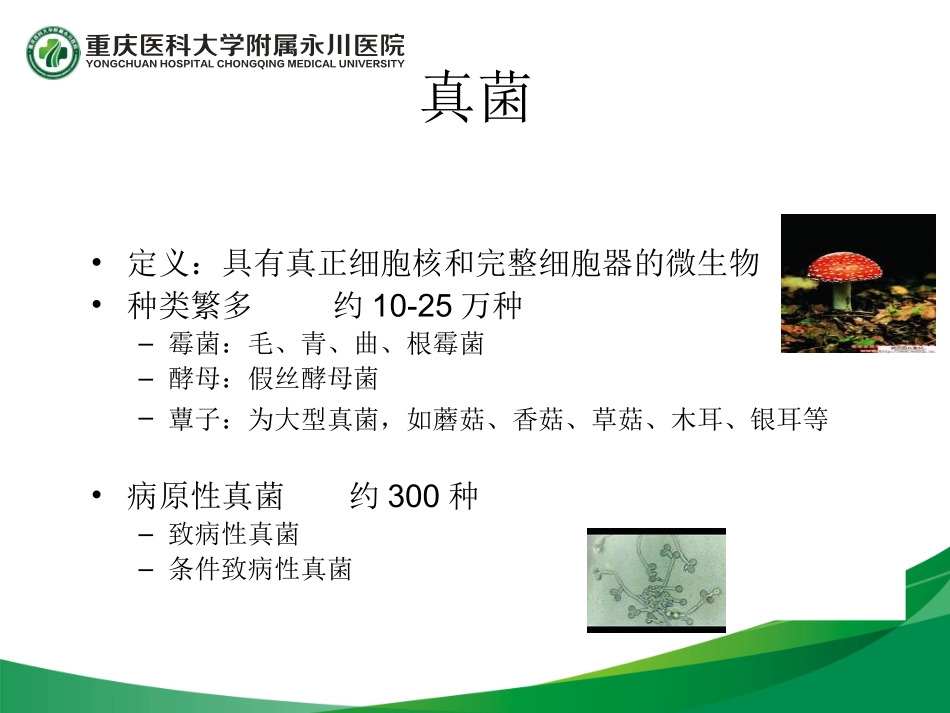 李伟真菌感染讲稿_第2页