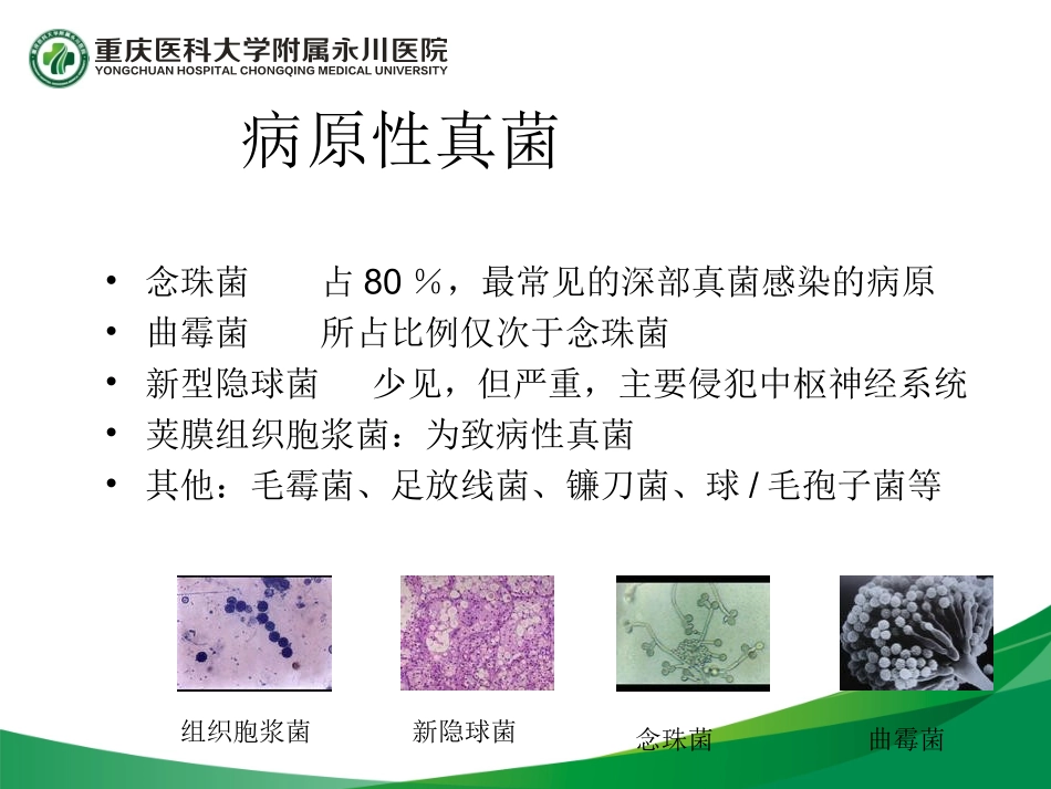李伟真菌感染讲稿_第3页