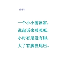 保护庄稼好卫兵