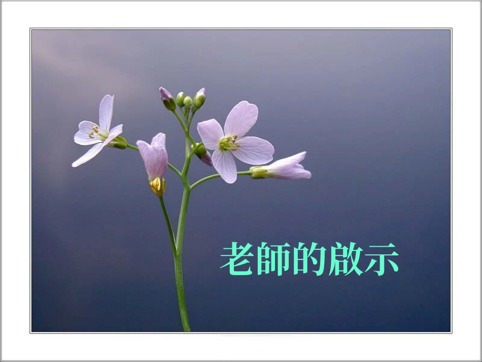 老师的启示(郑磊）_第1页