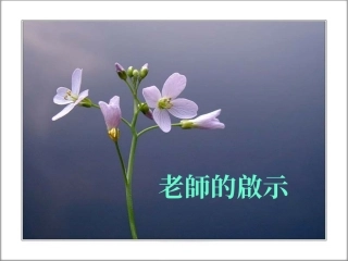 老师的启示(郑磊）
