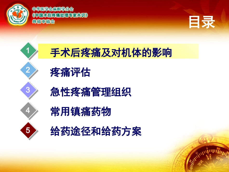 术后疼痛指南_第3页