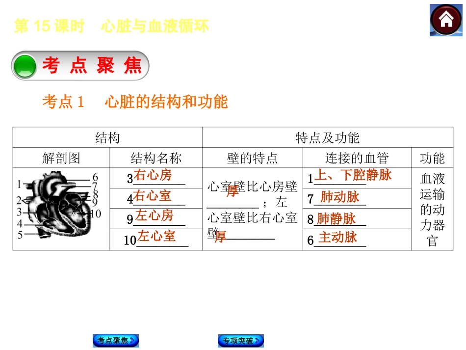 2015生物中考总复习课件（考点聚焦+归类探究+回归教材）：第15课时　心脏与血液循环_第2页
