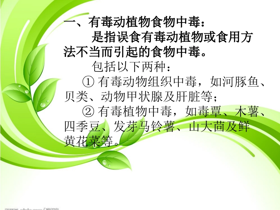 有毒动植物食物中毒_第2页