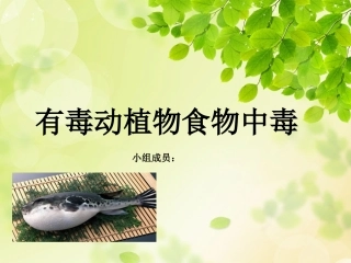 有毒动植物食物中毒