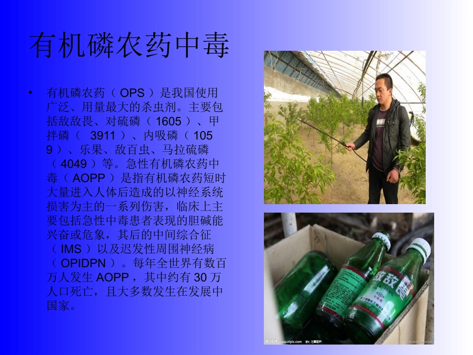 有机磷农药中毒分析_第2页