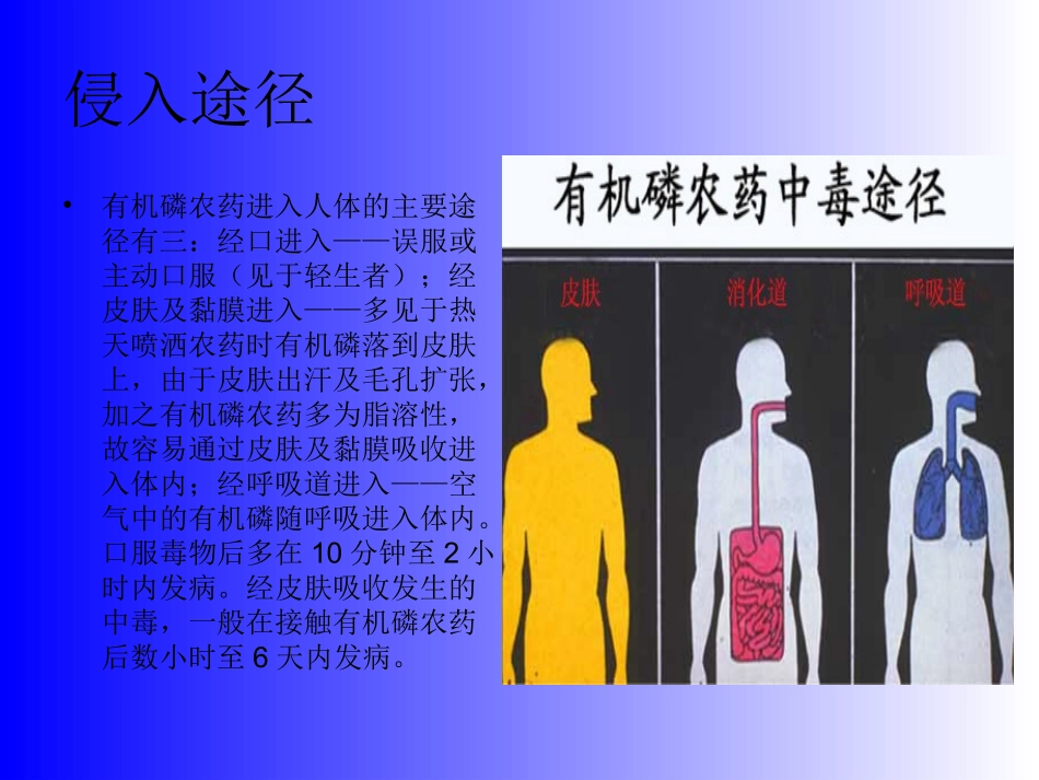 有机磷农药中毒分析_第3页