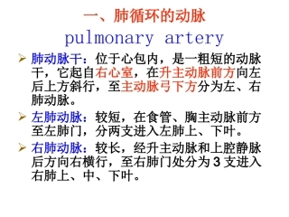 月脉管动脉定稿