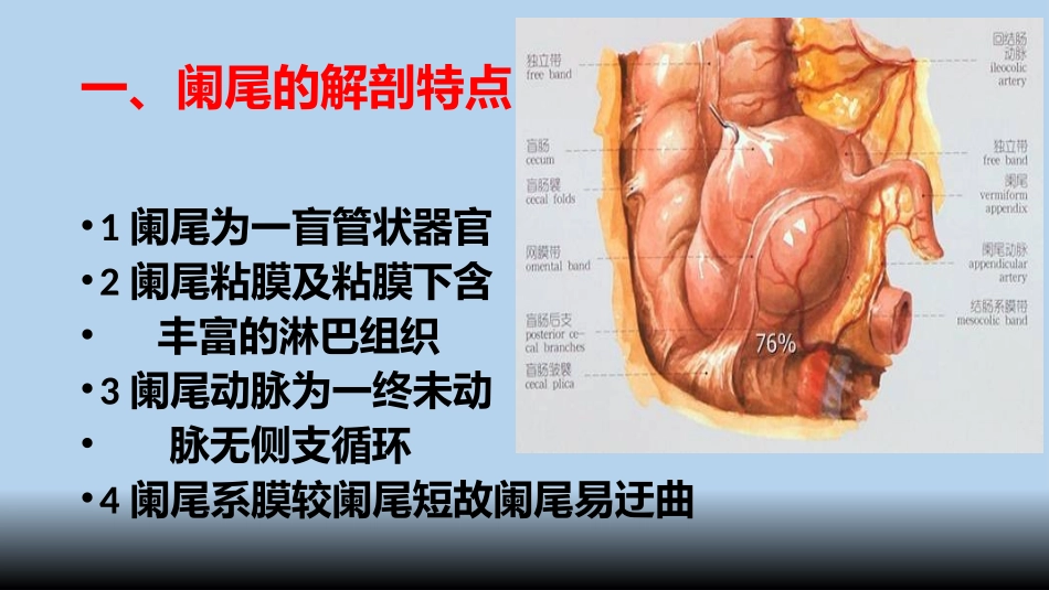 最新阑尾炎PPT_第2页
