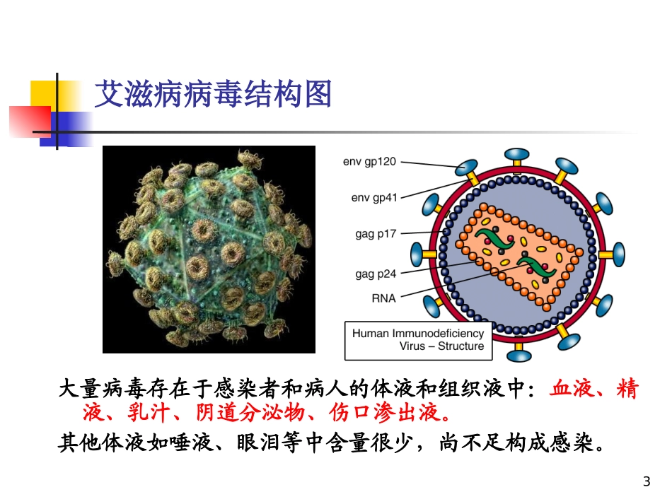 最新：艾滋病基本知识流行形势-文档资料_第3页