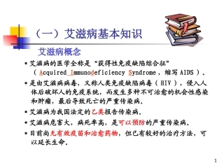 最新：艾滋病基本知识流行形势-文档资料
