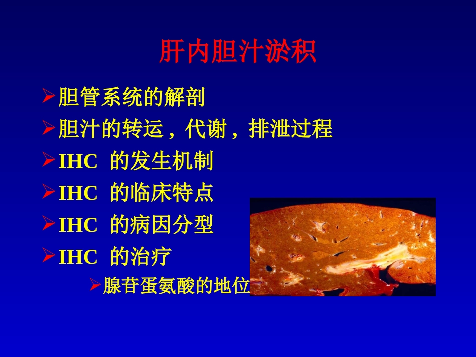 最新肝内胆汁淤积-武汉-PPT文档_第1页